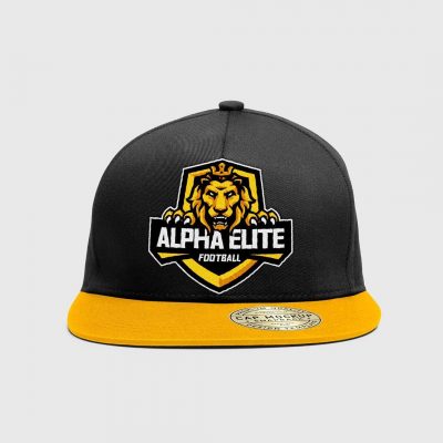 Alpha elite hat from the front view