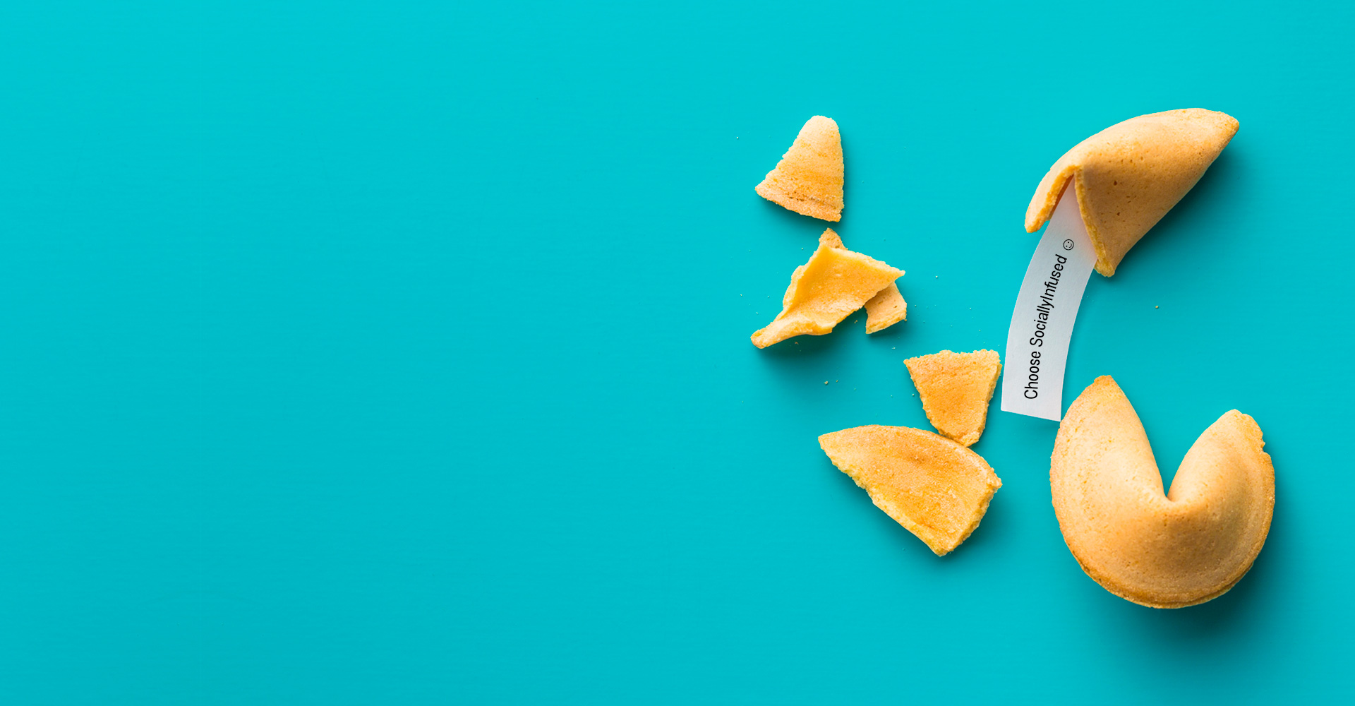 Broken fortune cookie with message on a teal background.