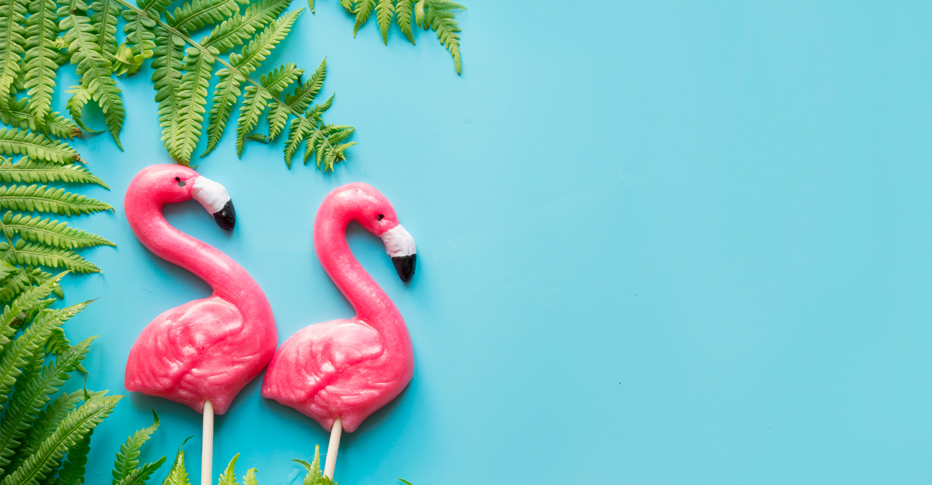 Flamingo lollipops and fern leaves on blue background.