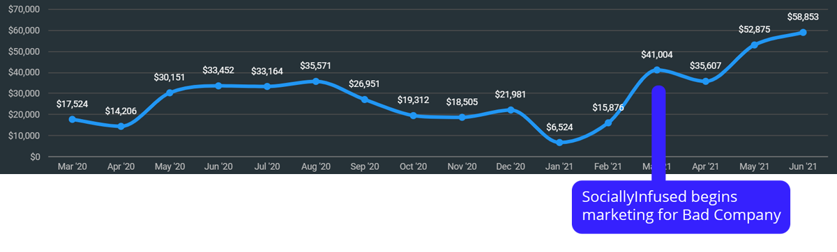 Earnings generated by Bad Company Wildlife before and after SociallyInfused began digital marketing for them.